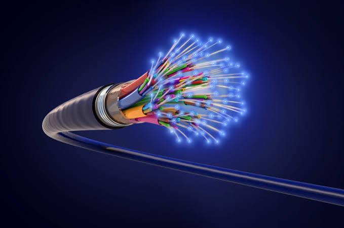 Fiber